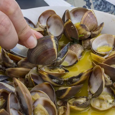 B21 - Oliveira Cozy Flat Lägenhet Lagos