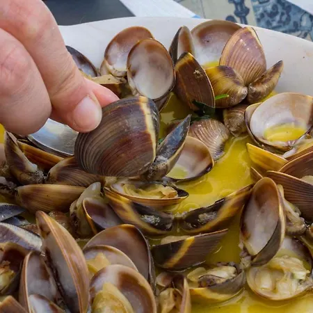 B21 - Oliveira Cozy Flat 拉哥斯